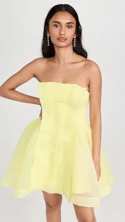 Aje Astrid Pleat Panel Mini Dress